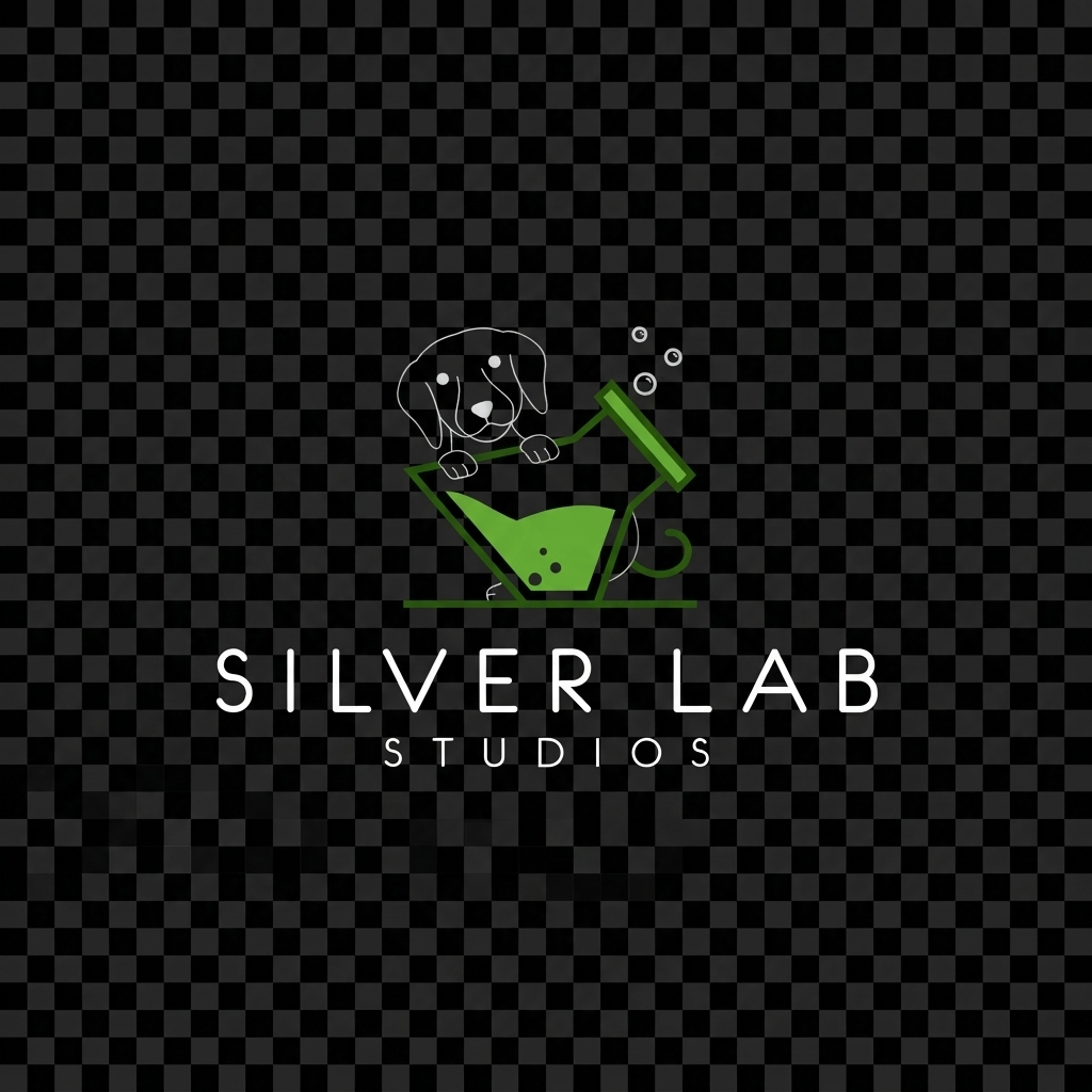 Silver Lab Studios